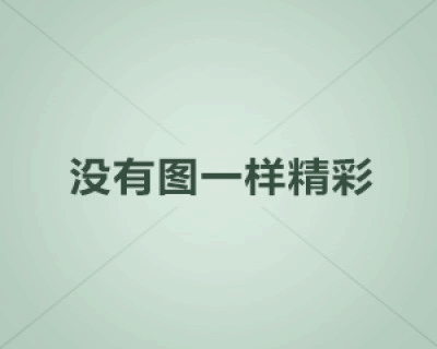中国好声音第4季冠军